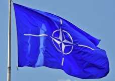 Песков: НАТО постепенно подминает Украину под себя
