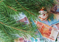 В Госдуме оценили предложение о ежегодной новогодней выплате для пенсионеров