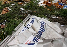 Эксперт назвал процесс в Нидерландах по делу о крушении МН17 «судилищем»