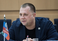 В ГД прокомментировали заявление ДНР о вербовке националистами Украины добровольцев