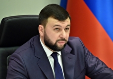 Глава ДНР прокомментировал заявление ЕР о военной помощи Донбассу