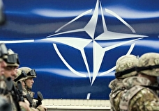 В Румынию, Болгарию, Венгрию и Словакию будут направлены боевые группы НАТО