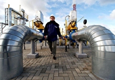 В случае остановки поставок газа из РФ Германии хватит запасов до осени