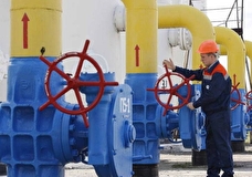Власти Нидерландов предписали фирмам отказаться от оплаты газа из РФ в рублях