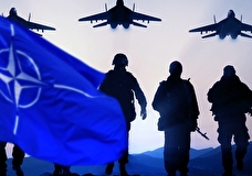 Стало известно, почему НАТО стремится избежать полномасштабной конфронтации с РФ