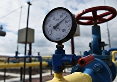 Резко выросло количество заявок из Европы на поставку газа из РФ