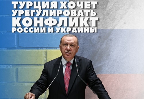 Мария Бутина скептически отнеслась к заявлению Эрдогана о готовности Турции стать посредником между РФ и Украиной