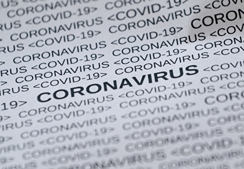Вирусолог Альтштейн: в среднем смерть при коронавирусе наступает через 3-4 недели