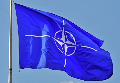 Эксперт Кошкин: проект России о гарантиях безопасности загнал  НАТО в тупик