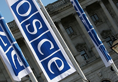 Российской делегации отказались выдать визы для участия в сессии ПА ОБСЕ