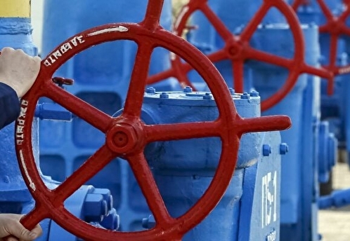 Возможное прекращение Россией поставок газа по «Северному потоку» беспокоит ФРГ